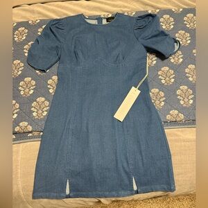 NWT Mini Denim Dress